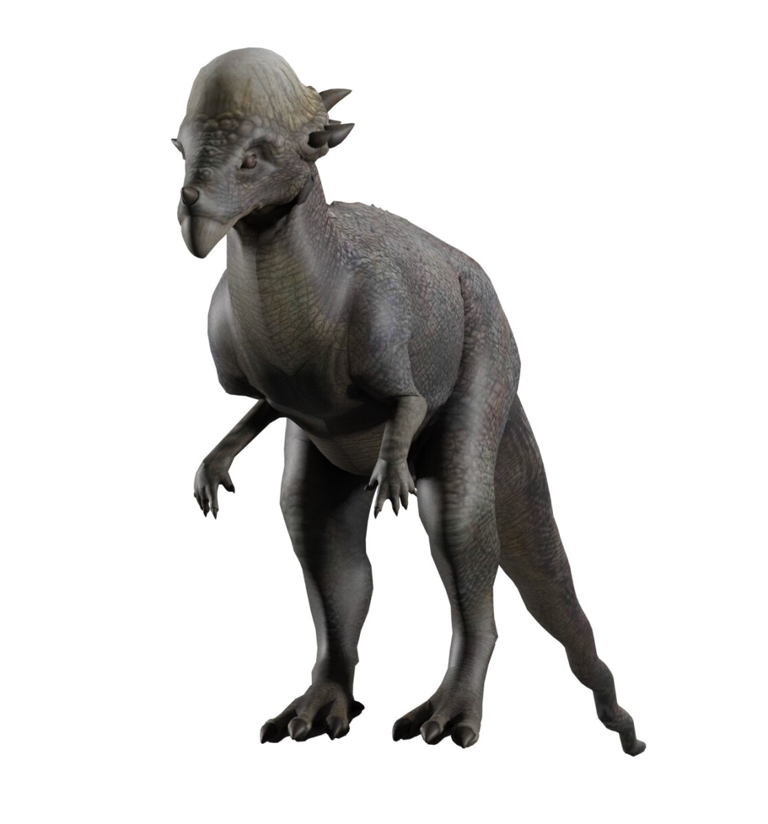 Bloque de dinosaurio - pachycephalosaurus 