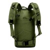 Bolso Mochila Arye 2 En 1 Camping y Viaje Liso