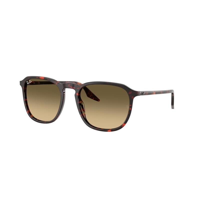 Ray Ban Rb2203 1429/0a