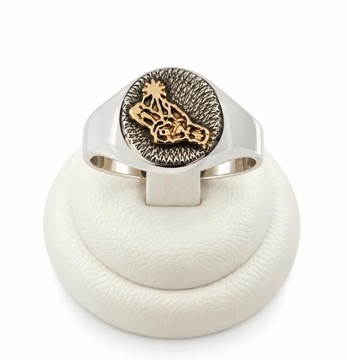 Anillo profesión partera 