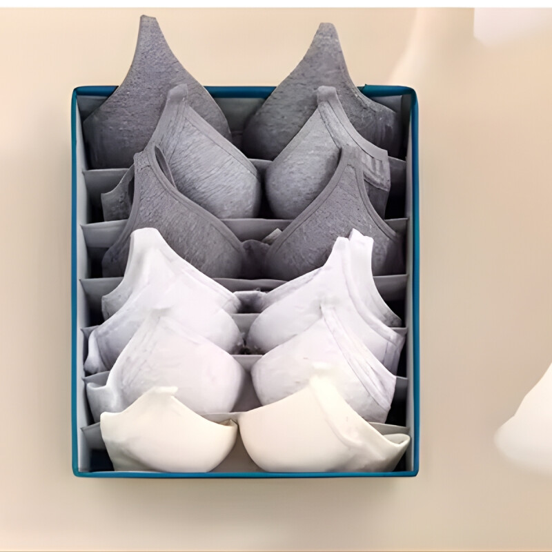 Organizador con divisiones 31x32x9cm GRIS