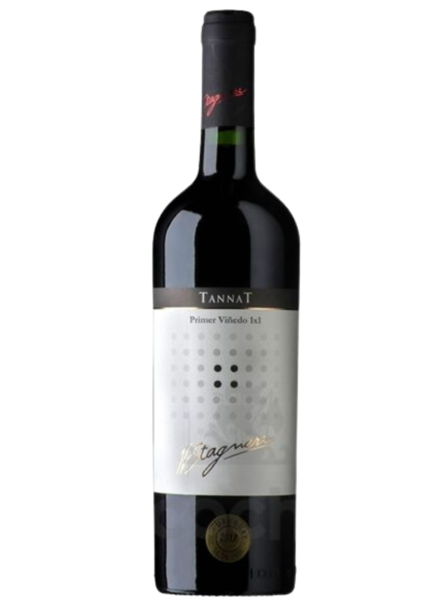 Primer Viñedo 1×1 Tannat H. Stagnari 