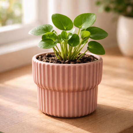 Maceta de cerámica con diseño acanalado – Colores pastel – Decoración para interiores y jardín Rosa