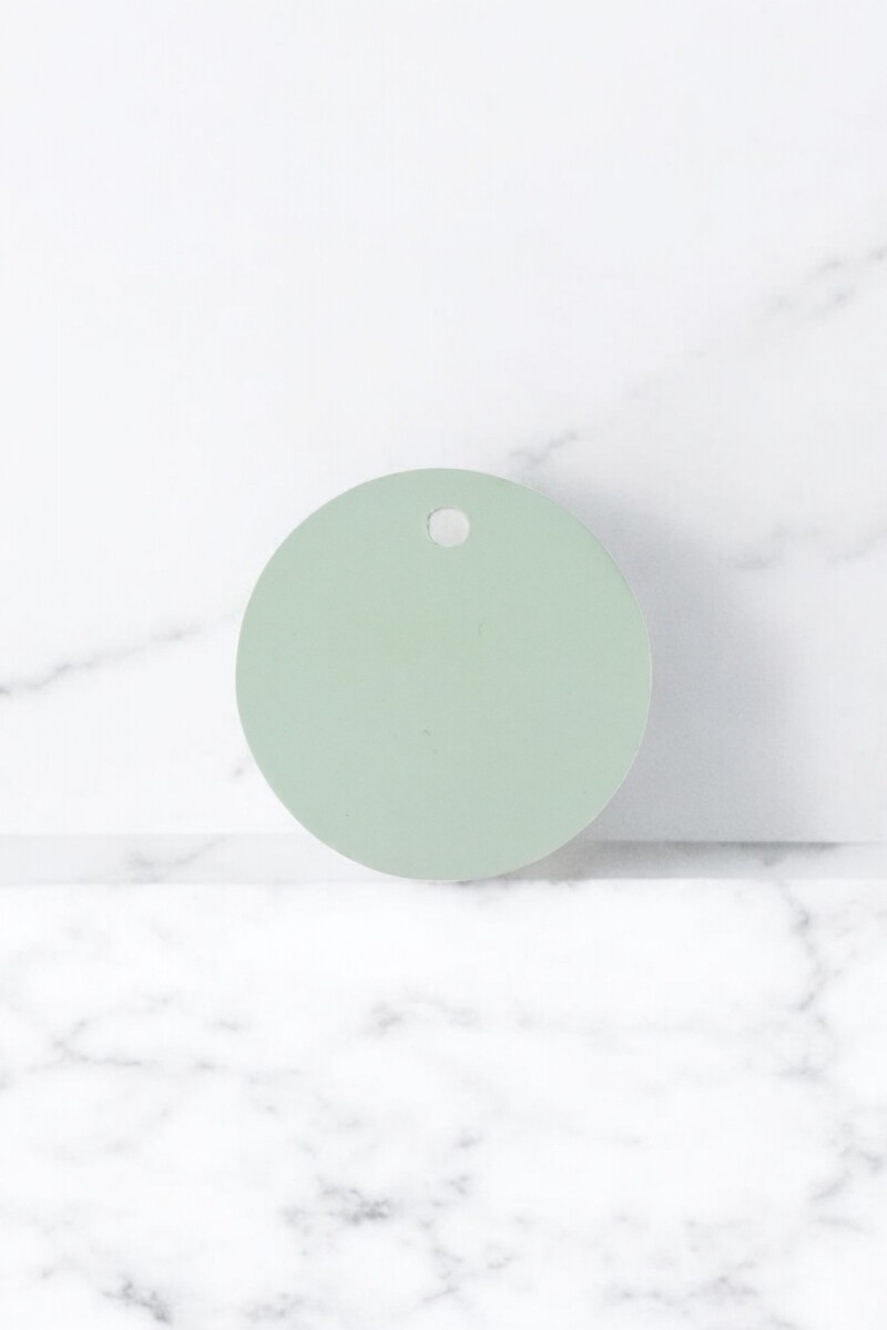 Tag circular liso - VERDE AGUA 