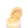 BOTELLA SPLIT ONE POP UP 750ML. Lila