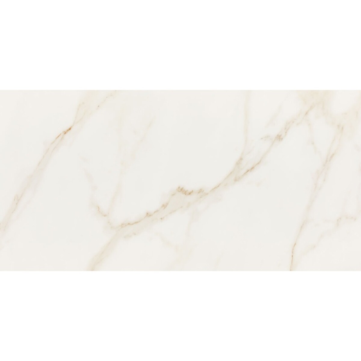 Calacatta Ouro Pol "a" 60x120 Eliane 