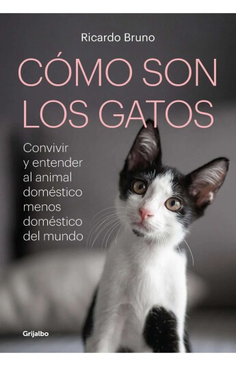 Cómo son los gatos Cómo son los gatos