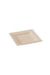 Plato rectangular descartable de fibra 16 x 16 mm - 25 unidades Plato rectangular descartable de fibra 16 x 16 mm - 25 unidades