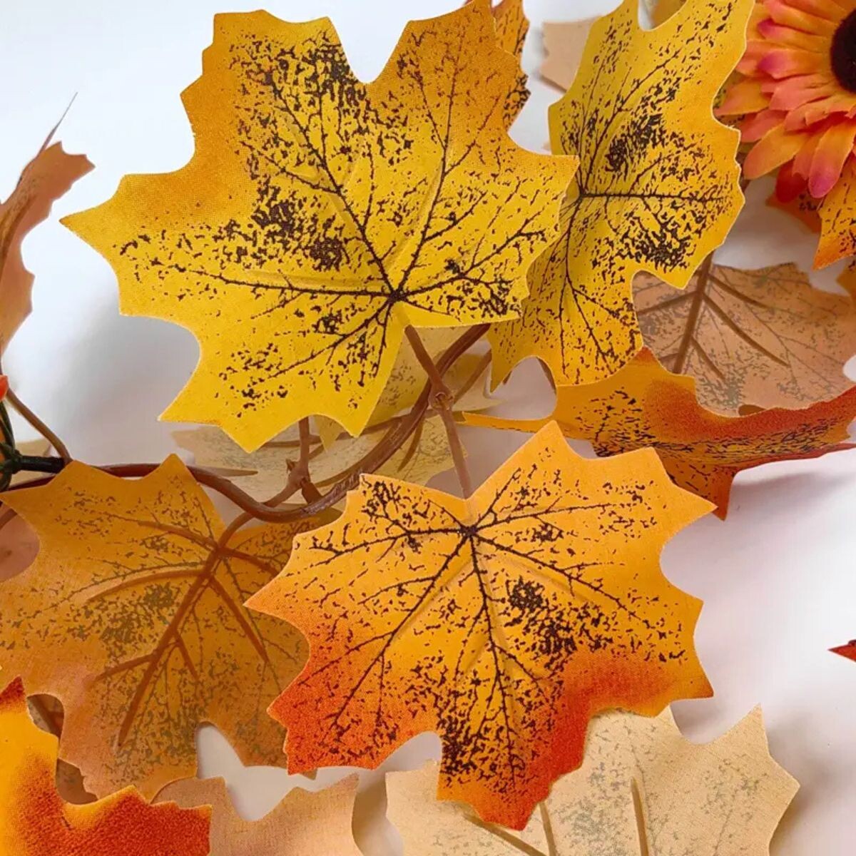 Guia de Hojas Caducas 