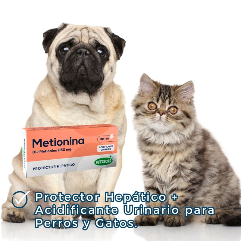 METIONINA X CAJA DE 30 COMPRIMIDOS METIONINA X CAJA DE 30 COMPRIMIDOS