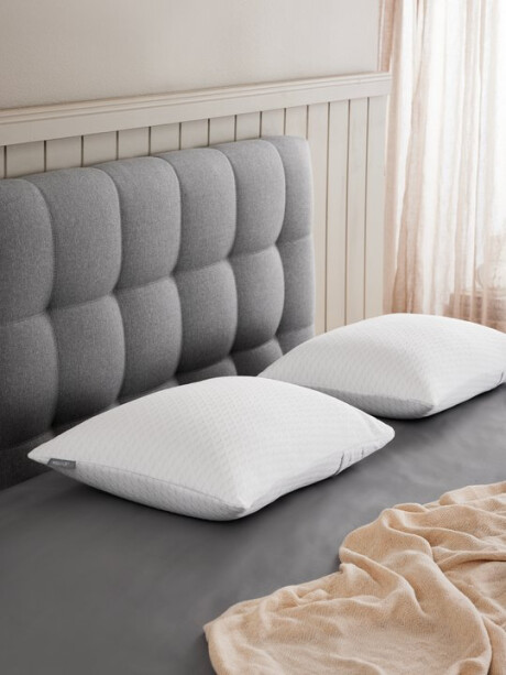 Almohada espuma visco 42x65x15 WELLPUR STRYN Almohada espuma visco 42x65x15 WELLPUR STRYN