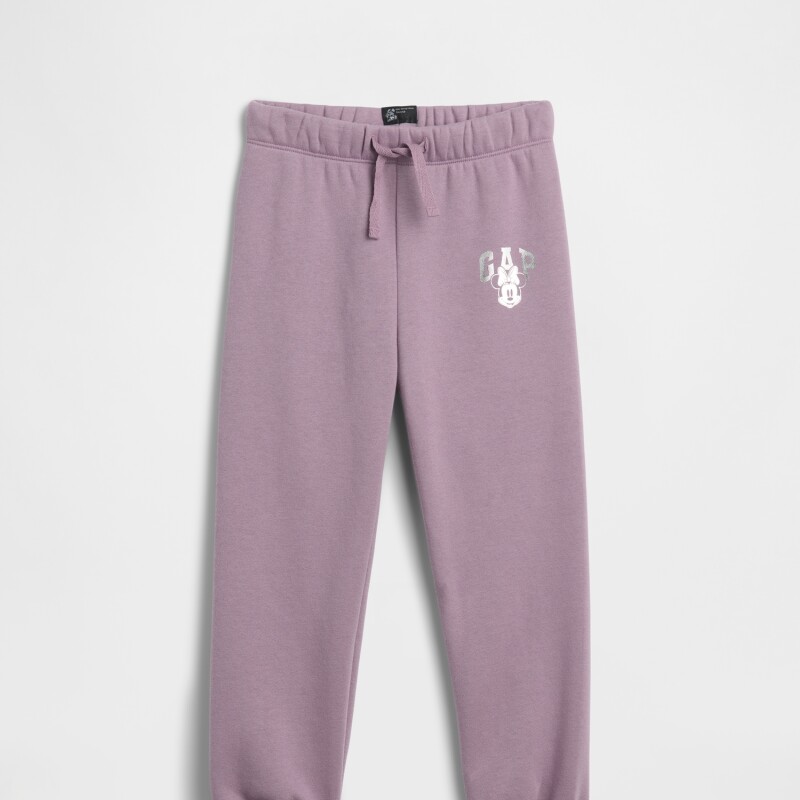 V-DISLOGO JGR SP DIS FAM AMETHYST2