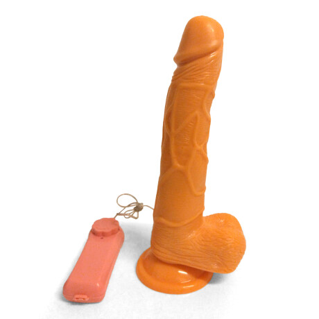Dildo Vibrador Realistico Ventosa y Control Dildo Vibrador Realistico Ventosa y Control