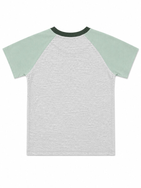REMERA SANTINO GRIS MELANGE M