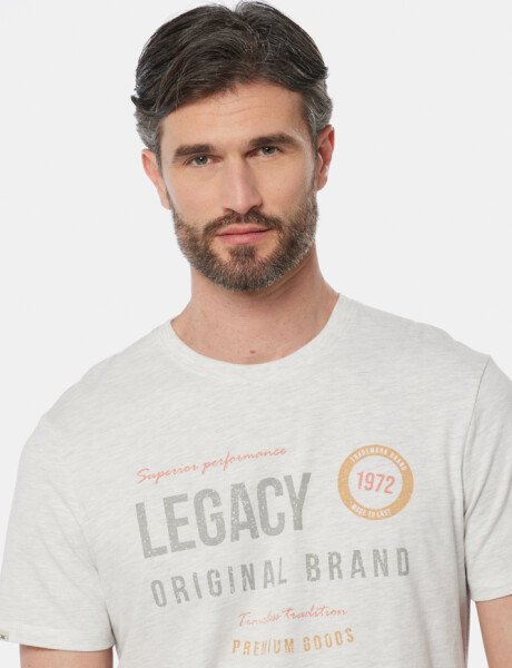 REMERA ESTAMPADA Gris