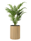 Maceta EJDER Ø34xH43cm madera Maceta EJDER Ø34xH43cm madera