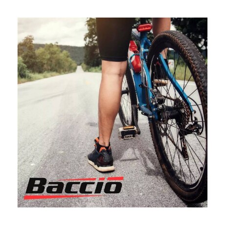 Bicicleta Baccio Alpina Lady Montaña rodado 24 con 6 cambios Blanca