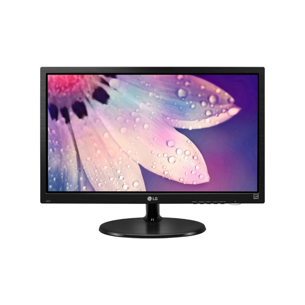 Monitor 19" HD LED - Modelo 19M38L-B - LG 
