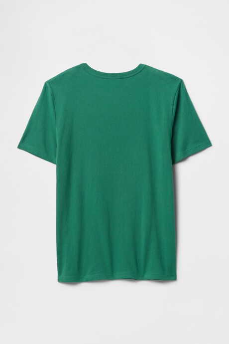 Remera Gráfico Niño Irish Clover
