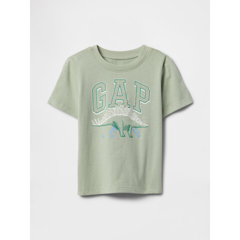 V-BF SS GR TEE DESERT SAGE