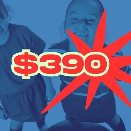 PROMO $390