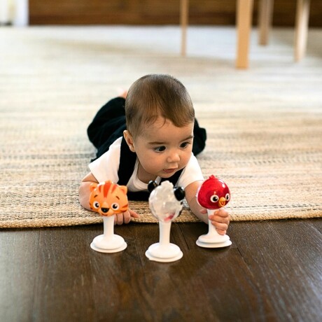Set de Sonajeros Baby Einstein 12359 con Ventosa 001