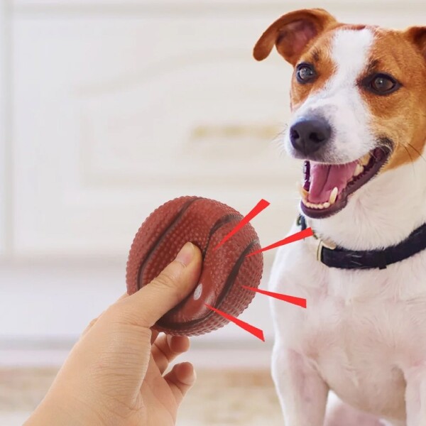 Juguete Perro Gato Pelota Mascota Basquet Masticable Chifle Variante Color Marron