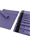 Pack x 10 - Papel seda 50 x 66 cm LILA