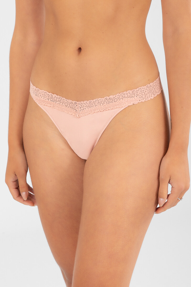 Colaless lupino Antique rose