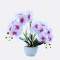 Orquidea Con Maceta Blanca Lila/Blanco