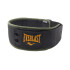 CINTURON DE PESAS EVERLAST GREATNESS BK/GN L BLACK/GREEN