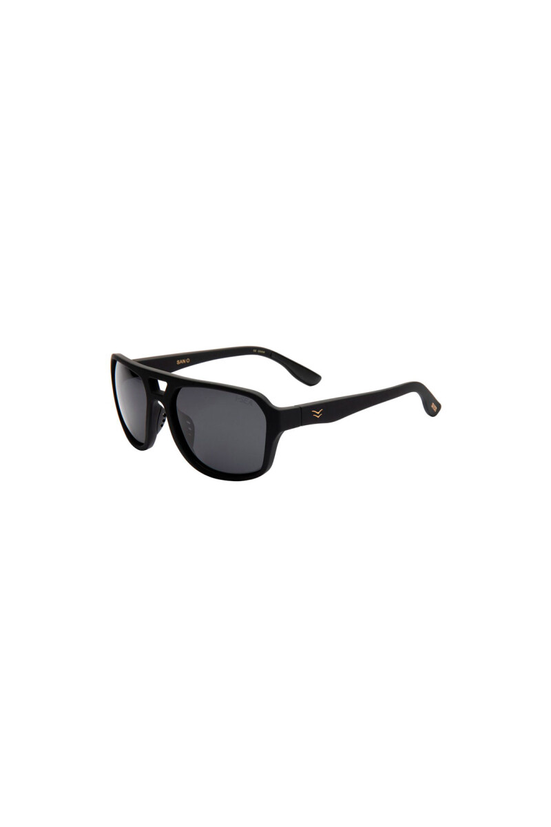 BROWN POLARIZED LENS Gris