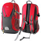 Mochila Urbana Arye 388 Tacuarembó con Portanotebook Rojo