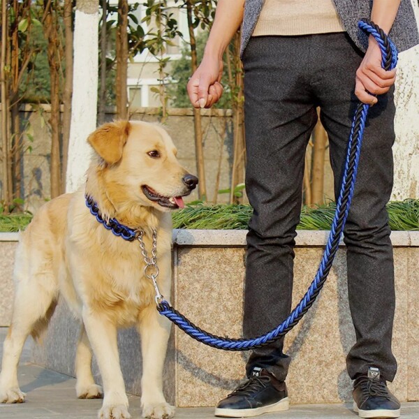 Correa Collar Reforzado Perros Semi Ahorque Cuerda Trenzada Variante Color Negro y Azul
