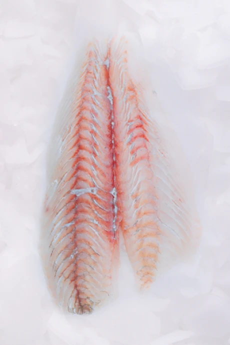 Filete de Lenguado 1 Kg