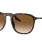 Rayban 2203 Havana