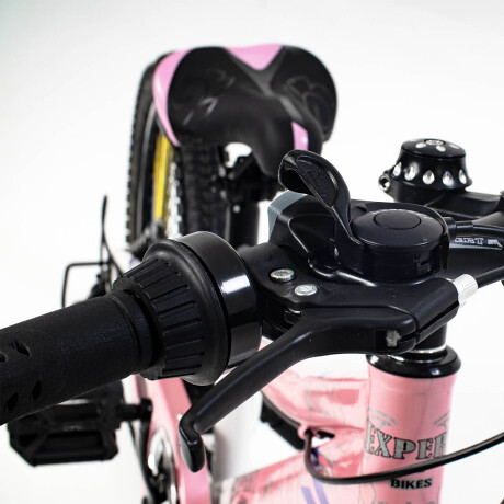 Bicicleta R20 C/ Cambios, Suspensión, Freno De Disco El Rey Rosado