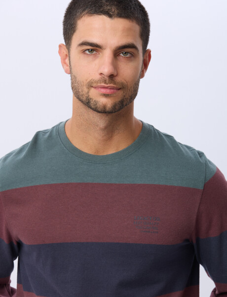 REMERA RAYADA DE ALGODÓN Azul