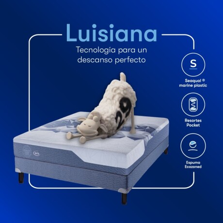 Conjunto Sommier Luisiana - 1 Plaza 0.80 x 1.90