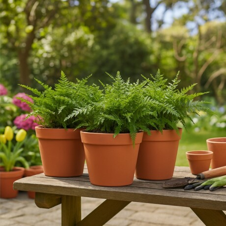 Set x3 Macetas chicas 7,5 lts TERRACOTA