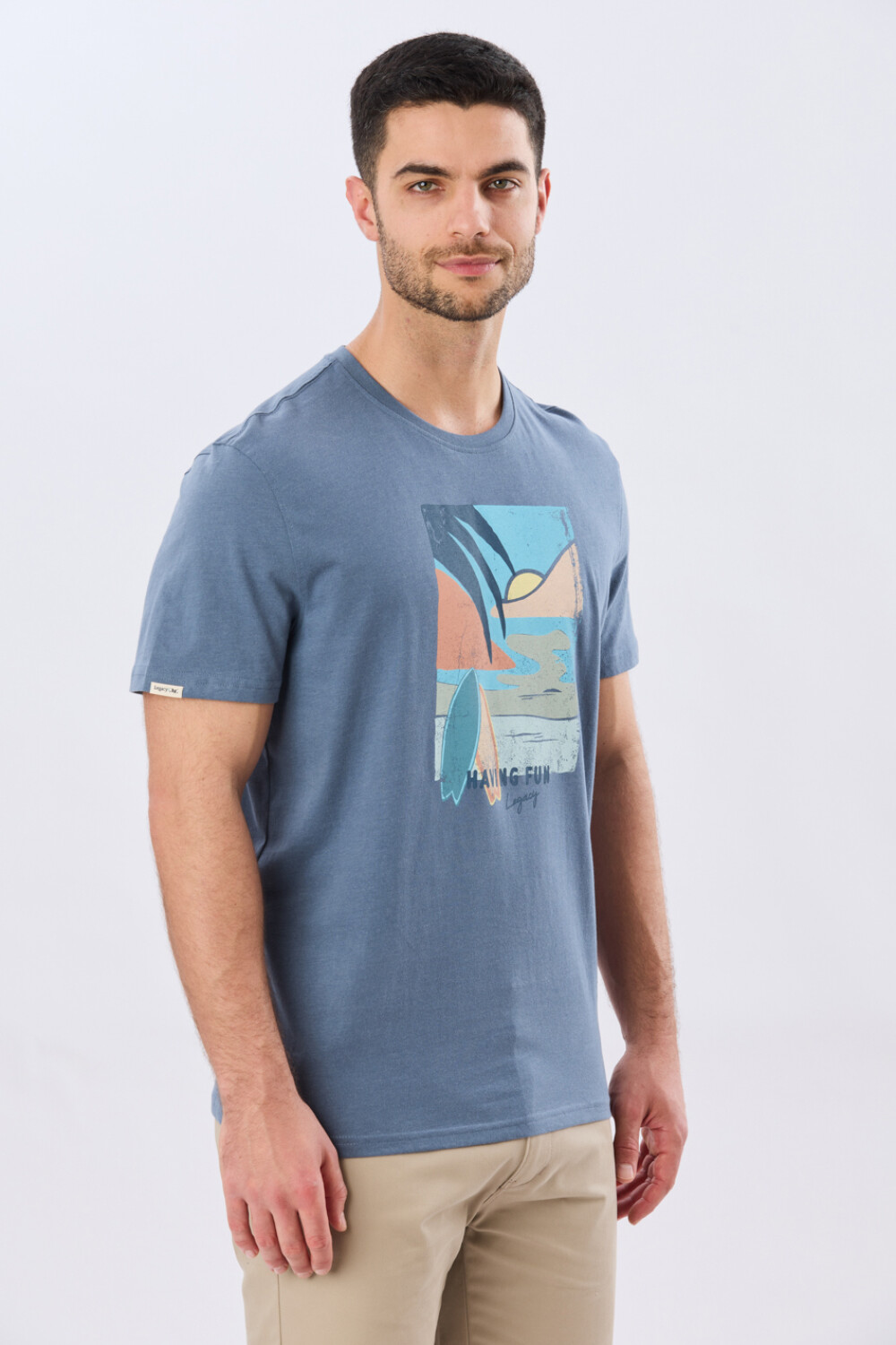 REMERA ESTAMPADA DE ALGODÓN Piedra