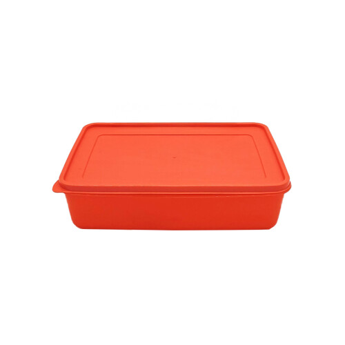 RECIPIENTE RECTANGULAR 2 RECIPIENTE RECTANGULAR 2