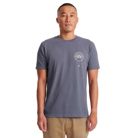 Remera Roark Roark Expeditions Gris