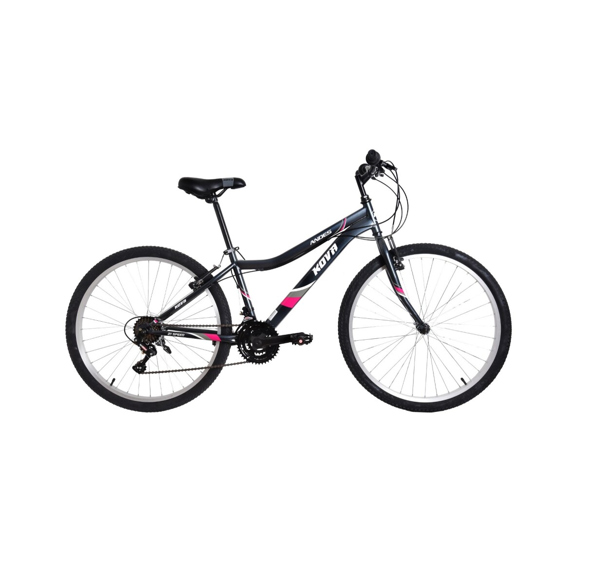 Bicicleta Andes Dama Rodado 26 - Gris 