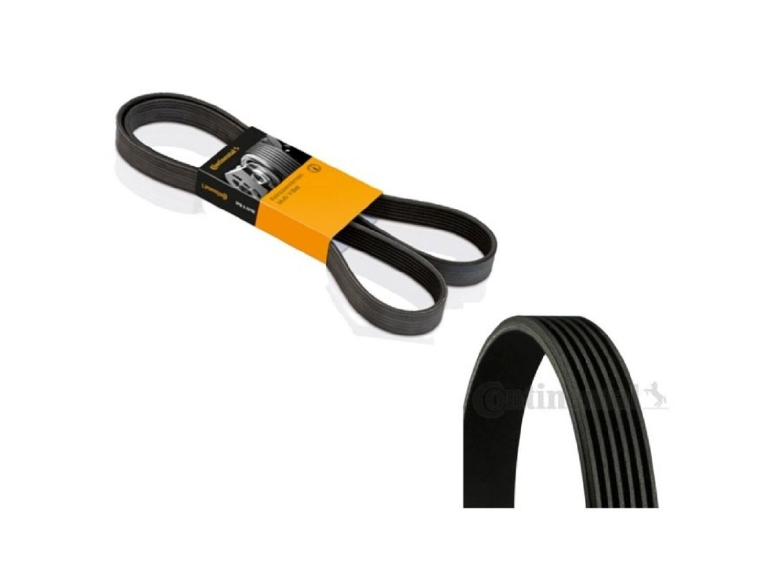 10PK1145 Correa de Accesorios Continental 