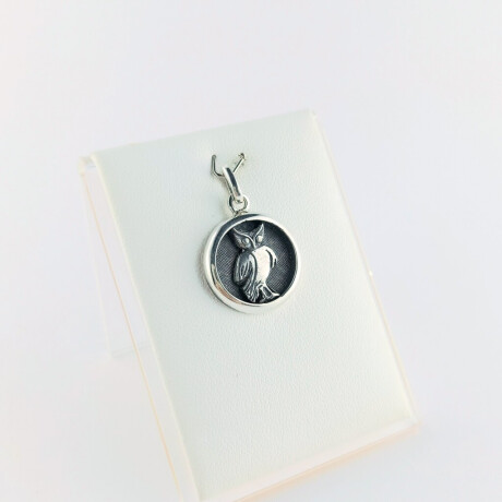 Colgante de Plata 925 Linea Profesiones Profesor