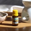 Aceite 10ml hornito Limón