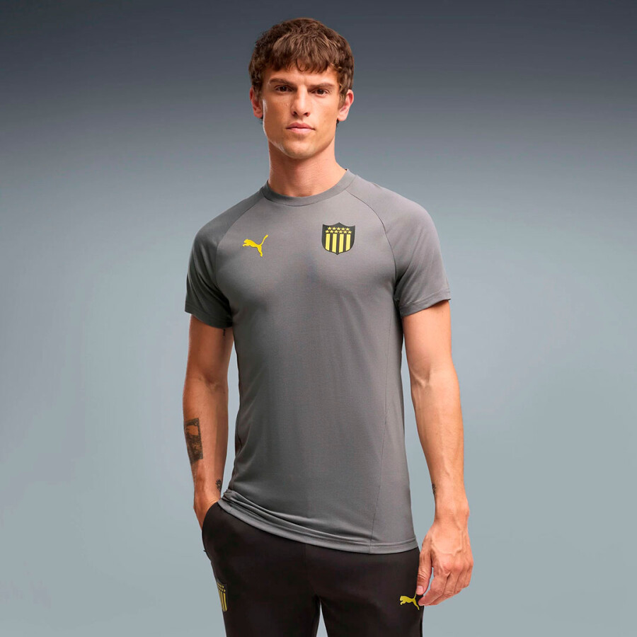 Remera de Hombre Puma Peñarol Evostripe Tee Gris - Amarillo