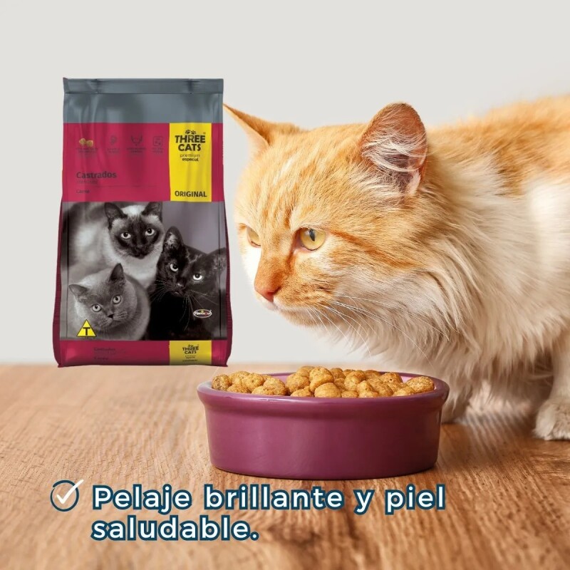 THREE CATS CASTRADOS 15 KILOS