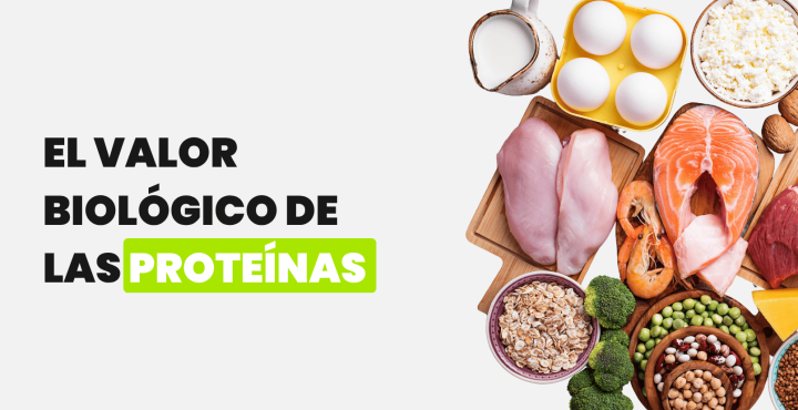 El valor biológico de las proteínas
